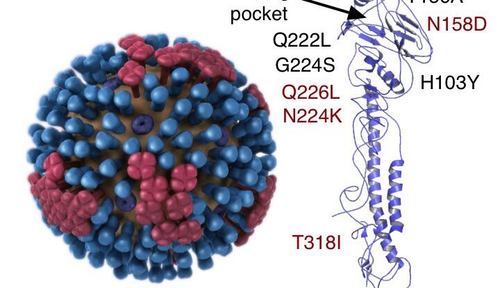 Influenza across microbewiki zones subtypes